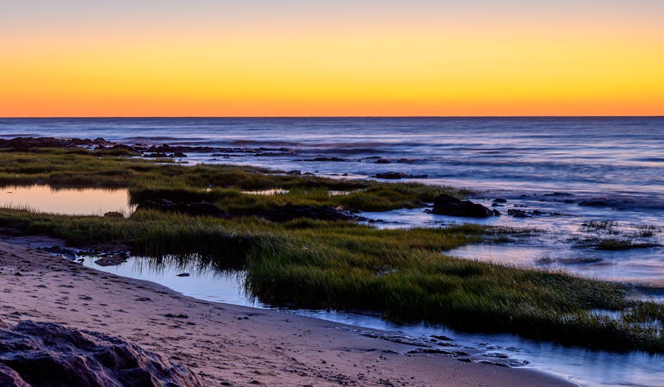 A family enjoying financial security