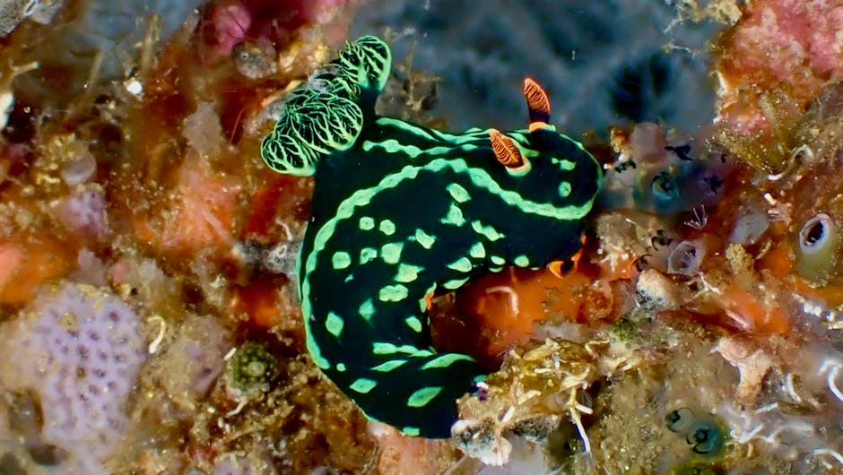 Residential property with protective insurance